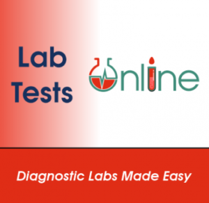 Lab-370x360